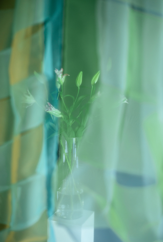 COVER302 × jyu+ “COLORFUL”